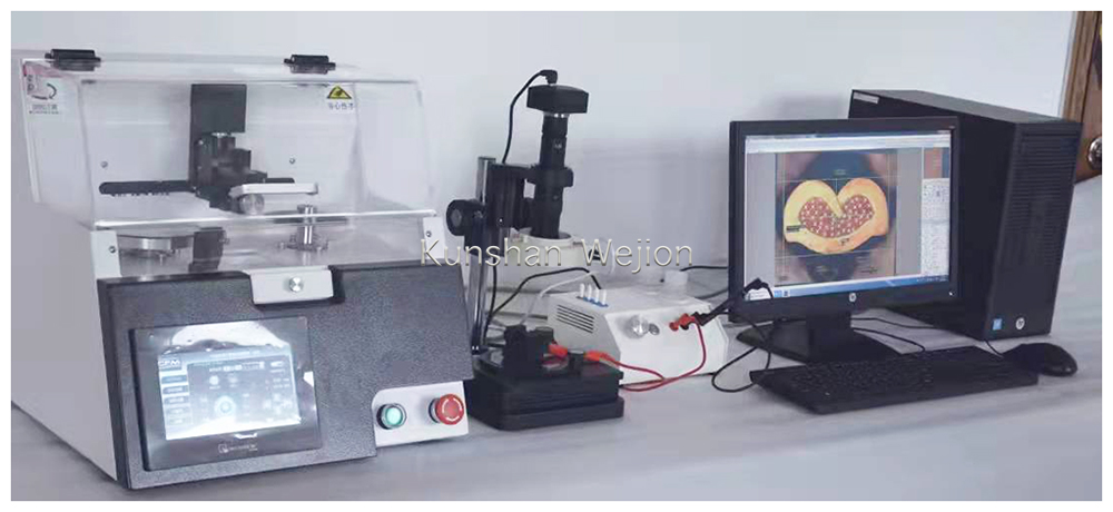 1656496102289981.jpg 1.1.jpg